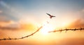 Silhouette of barbed wire with cloud and sun beam light background Royalty Free Stock Photo