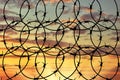 Silhouette of barbed wire