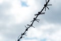 Silhouette of barbed wire fence across the frame, set against a backdrop of a cloudy sky, high contrast. Imprisonment, prison, Royalty Free Stock Photo