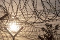 Silhouette of a barbed wire fence steel jail Royalty Free Stock Photo