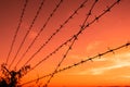 silhouette of Barbed wire on sunset background Royalty Free Stock Photo