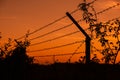 silhouette of Barbed wire on sunset background Royalty Free Stock Photo