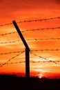 silhouette of Barbed wire on sunset background Royalty Free Stock Photo