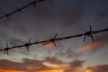 Silhouette of barbed wire on a sunset background, in a army camp , in PabradÃÂ¨ Royalty Free Stock Photo