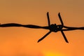 Silhouette of Barbed wire on sunset background Royalty Free Stock Photo