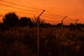 silhouette of Barbed wire on sunset background Royalty Free Stock Photo