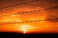 silhouette of Barbed wire on sunset background Royalty Free Stock Photo