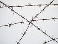 Silhouette of the barbed wire on white background Royalty Free Stock Photo