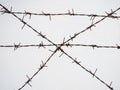 Silhouette of the barbed wire on white background Royalty Free Stock Photo