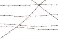 Silhouette of the barbed wire on white background Royalty Free Stock Photo