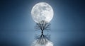 Silhouette of a Bare Tree Against a Large Full Moon Reflected in Water night dark Royalty Free Stock Photo
