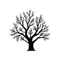 Silhouette of a Bare Tree Against a White Backdrop, Emblematic of Winter\'s Arrival Royalty Free Stock Photo