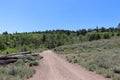 A pile of of logs lying by the side of a dirt road at Soldier Summit Utah Royalty Free Stock Photo