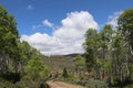 A winding dirt road down the mountain at Soldier Summit Utah Royalty Free Stock Photo