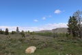 Large stone in an alpine area in the mountains at Soldier Summit Utah