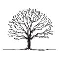 Silhouette of Bare Tree Illustration Detailed Branches and Roots Royalty Free Stock Photo