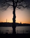 silhouette bare tree by lake against sky during sunset Royalty Free Stock Photo