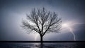 Silhouette of a bare tree in the rain with lightning strikes in the background Royalty Free Stock Photo