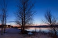 Bare trees on the St. Lawrence River bank along the Champlain Boulevard seen during a blue hour early spring morning Royalty Free Stock Photo