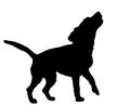 Beagle Dog Barking silhouette ~