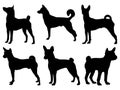 Set of Basenji Dog silhouette vector art