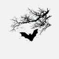 Silhouette of a bat flying near a tree with many small birds Royalty Free Stock Photo