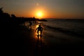 Silhouette on the beach at sunset Royalty Free Stock Photo