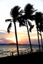 Silhouette beach tourists with coconut palm tree sunset ocean on the tropical beach sea summer orange sky and islands mountain Royalty Free Stock Photo