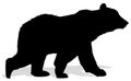 Silhouette of bear. Royalty Free Stock Photo