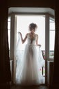 Silhouette of beautiful bride in traditional white wedding dress