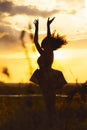 silhouette of a beautiful dreamy girl in a dress at sunset in a field, figure of young woman with long hairs enjoying nature