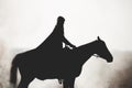 Silhouette of a beautiful girl riding a horse on a white background Royalty Free Stock Photo