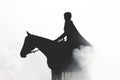 Silhouette of a beautiful girl riding a horse on a white background