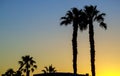 Silhouette palm trees at against the sky during a sunset Royalty Free Stock Photo