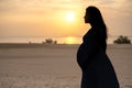 Silhouette of beautiful pregnant woman standing on the beach at sunset . Royalty Free Stock Photo