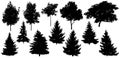 Silhouette of beautiful spruce trees, maple, walnut and etc., set. Isolated forest trees on white background. Vector illustration