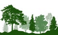 Silhouette of beautiful summer forest. Real fir trees, pine, coniferous trees, birch and others. Vector illustration Royalty Free Stock Photo