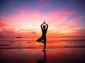 Silhouette of a beautiful yoga woman Royalty Free Stock Photo