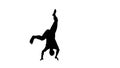 Silhouette of a beautiful young athletic man break-dancing, transparent background. 3d illustration (rendering