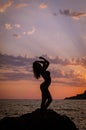 Silhouette of a beautiful young girl at sunset by the sea Royalty Free Stock Photo