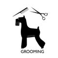 Silhouette of a beautifully trimmed dog, terrier. Comb and scissors - the concept of grooming, pet care. Vector Royalty Free Stock Photo