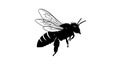 Silhouette of a bee in detailed Royalty Free Stock Photo