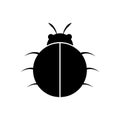 Silhouette of a beetle of the Coleoptera family on a white background.