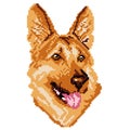 The silhouette of a beige dog breed German shepherd is a face, the head is painted in the form of squares, pixels