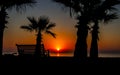 Silhouette of a bench and palm trees Royalty Free Stock Photo