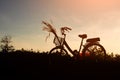 Silhouette of bicycle and grass flower with blue sky in nature landscape, bike on sunset