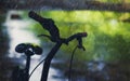 Silhouette bicycle on rainy background with bokeh nature and wet road. Falling rain sad concept Royalty Free Stock Photo