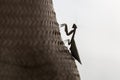 Silhouette of a big mantis insect on a craft hat, climbing up