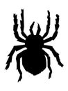 silhouette of big scary spider Royalty Free Stock Photo