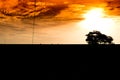 Silhouette big tree with sunset sky Royalty Free Stock Photo